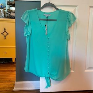 Aqua Naked Zebra top